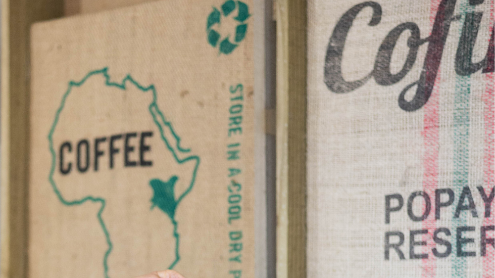 Sustainable Coffee Consumerism: 10 Ways Your Daily Coffee Can Help Change the World